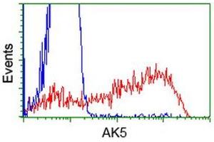 HEK293T cells transfected with either RC222241 overexpress plasmid (Red) or empty vector control plasmid (Blue) were immunostained by anti-AK5 antibody (ABIN2452724), and then analyzed by flow cytometry. (Adenylate Kinase 5 Antikörper)