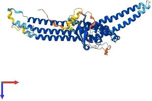 SNX8 Protein (AA 1-459) (His tag)