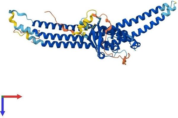 SNX8 Protein (AA 1-459) (His tag)