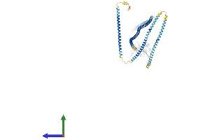 Protein Structure (PS) image for Hook Homolog 3 (HOOK3) (AA 1-718) protein (His tag) (ABIN7564434)