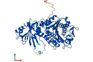 Protein Structure (PS) image for Aminopeptidase-Like 1 (NPEPL1) (AA 1-524) protein (His tag) (ABIN7557952)