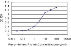 Detection limit for recombinant GST tagged PCYT1A is approximately 0. (PCYT1A Antikörper  (AA 2-90))