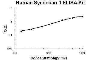 Human SDC1/Syndecan-1 PicoKine ELISA Kit standard curve