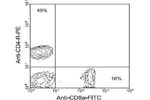 Flow Cytometry (FACS) image for anti-CD8 (CD8) antibody (FITC) (ABIN356190) (CD8 Antikörper  (FITC))