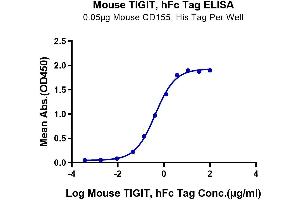 Immobilized Mouse CD155, His Tag at 0. (TIGIT Protein (AA 26-143) (Fc Tag))
