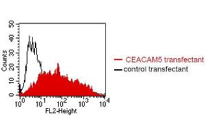 FACS analysis of BOSC23 cells using 4/3/17. (CEACAM1/5 Antikörper)
