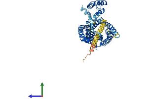 Protein Structure (PS) image for Ceramide Synthase 3 (CERS3) (AA 1-383) protein (His tag) (ABIN7553420)