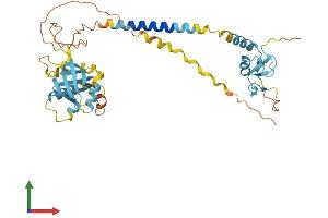 Protein Structure (PS) image for Ring Finger Protein 215 (RNF215) (AA 1-379) protein (His tag) (ABIN7557521)