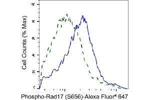 Validation of Rad17 knockdown using flow cytometry.