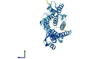 AlphaFold protein structure predicition of Mouse Recombinant Sfxn3 Protein, UniprotID Q91V61
