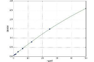 Mucosal Vascular Addressin Cell Adhesion Molecule 1 (MADCAM1) ELISA Kit