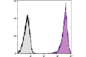 DBA/2 mouse mastocytoma cell line P815 and mB7. (CD86 Antikörper  (PE-Cy7))