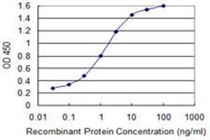 Detection limit for recombinant GST tagged GLS is 0. (Glutaminase Antikörper  (AA 580-669))