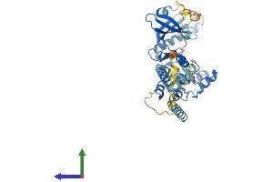 Protein Structure (PS) image for phosphorylase Kinase, gamma 2 (Testis) (PHKG2) (AA 1-406) protein (His tag) (ABIN7561257)