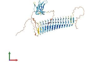 AlphaFold protein structure predicition of Human Recombinant DAZ2 Protein, UniprotID Q13117