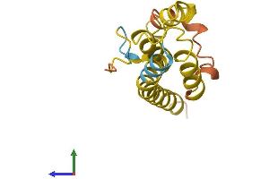 TOR1AIP2 Protein (AA 1-131) (His tag)