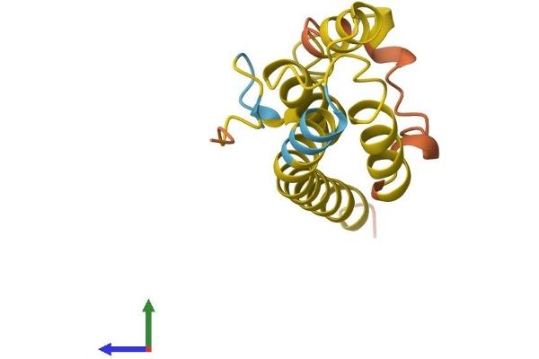 TOR1AIP2 Protein (AA 1-131) (His tag)