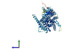AlphaFold protein structure predicition of Mouse Recombinant Slc11a1 Protein, UniprotID P41251