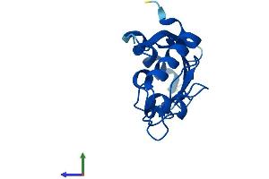 Protein Structure (PS) image for Ubiquitin-Conjugating Enzyme E2L 3 (UBE2L3) (AA 1-154) protein (His tag) (ABIN7544981)