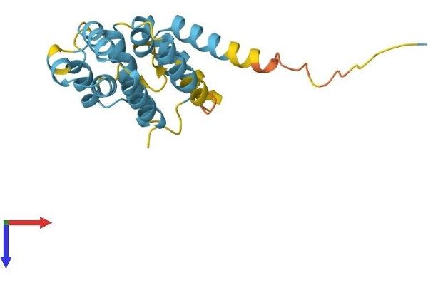 FADD Protein (AA 1-205) (His tag)