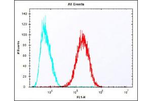 Flow Cytometry (FACS) image for anti-Sulfotransferase Family, Cytosolic, 1A, Phenol-Preferring, Member 1 (SULT1A1) (AA 246-279) antibody (ABIN6243311)