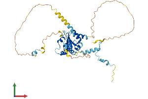 Protein Structure (PS) image for Centrosomal Protein 41kDa (CEP41) (AA 1-373) protein (His tag) (ABIN7553311)