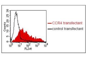 FACS analysis of BOSC23 cells using KH-4F5. (CCR4 Antikörper)