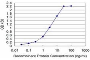 ELISA image for anti-TATA Box Binding Protein Associated Factor 11 (TAF11) (AA 158-211) antibody (ABIN598956) (TAF11 Antikörper  (AA 158-211))