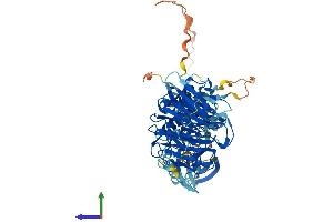 Protein Structure (PS) image for NIMA-Related Kinase 8 (NEK8) (AA 1-698) protein (His tag) (ABIN7560155)