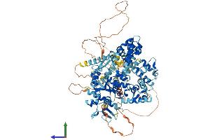 Protein Structure (PS) image for GTF2I Repeat Domain Containing 2 (GTF2IRD2) (AA 1-936) protein (His tag) (ABIN7560446)