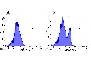 Flow-cytometry using anti-CD4 antibody MT310   Rhesus monkey lymphocytes were stained with an isotype control (panel A) or the rabbit-chimeric version of MT310 ( panel B) at a concentration of 1 µg/ml for 30 mins at RT. (Rekombinanter CD4 Antikörper)