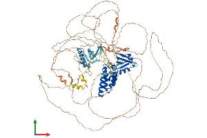 Protein Structure (PS) image for Regulator of G-Protein Signaling 3 (RGS3) (AA 1-966) protein (His tag) (ABIN7565013)