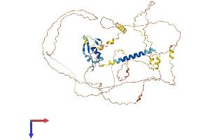PJA1 Protein (AA 1-578) (His tag)