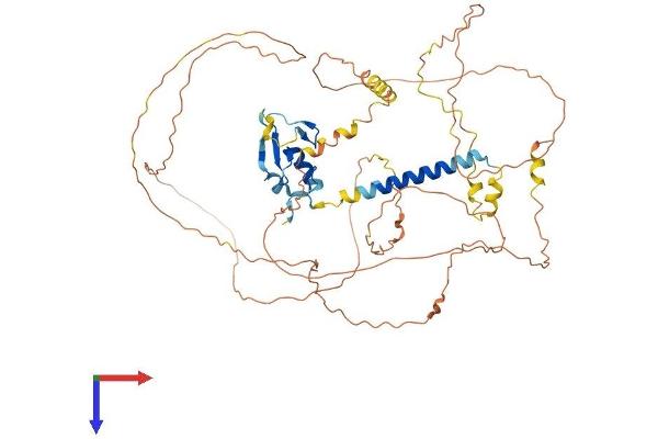 PJA1 Protein (AA 1-578) (His tag)