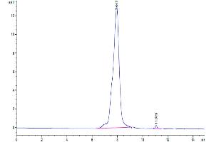 Size-exclusion chromatography-High Pressure Liquid Chromatography (SEC-HPLC) image for LI Cadherin (AA 23-787) protein (His-Avi Tag,Biotin) (ABIN7274314)