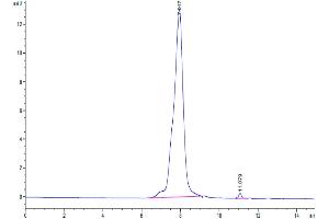 The purity of Biotinylated Human CDH17 is greater than 95 % as determined by SEC-HPLC. (LI Cadherin Protein (AA 23-787) (His-Avi Tag,Biotin))
