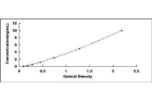 Typical standard curve (UCP2 ELISA Kit)