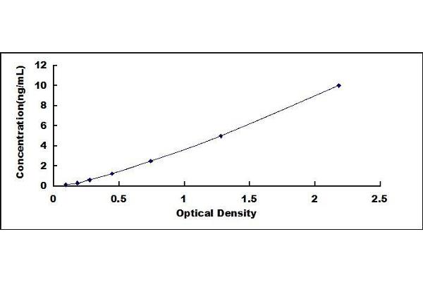 UCP2 ELISA Kit