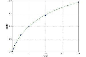 A typical standard curve (UBE2A ELISA Kit)