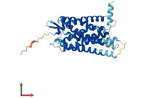 Protein Structure (PS) image for Cysteinyl Leukotriene Receptor 2 (CYSLTR2) (AA 1-309) protein (His tag) (ABIN7560169)
