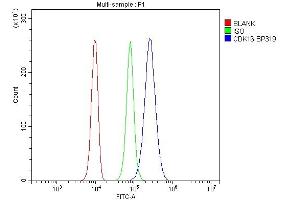 Flow Cytometry analysis of 293T cells using anti-CDK16 antibody (ABIN7601590).