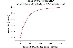 ELISA image for CD47 (CD47) (AA 19-140) (Active) protein (His tag) (ABIN6809863)
