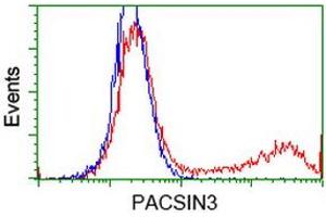 Image no. 3 for anti-Protein Kinase C and Casein Kinase Substrate in Neurons 3 (PACSIN3) antibody (ABIN1500013) (PACSIN3 Antikörper)