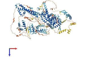 SIN3A Protein (AA 1-1273) (His tag)