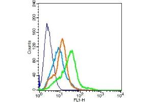RSC96 probed with TPIA2/PTPRN Polyclonal Antibody, Unconjugated ( 	 ) at 3ug for 30 minutes followed by incubation with a conjugated secondary -FITC) (green) for 30 minutes compared to control cells (blue), secondary only (light blue) and isotype control (orange). (PTPRN Antikörper  (AA 501-600))