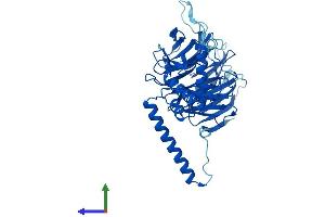 Protein Structure (PS) image for DDB1 and CUL4 Associated Factor 13 (DCAF13) (AA 1-445) protein (His tag) (ABIN7558025)