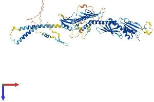 MED17 Protein (AA 1-651) (His tag)