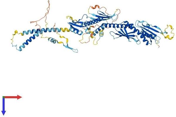 MED17 Protein (AA 1-651) (His tag)