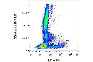 Surface staining of human peripheral blood cells with anti-human CD1c (clone L161) PE. (CD1c Antikörper  (APC))