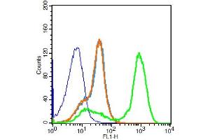 Flow Cytometry (FACS) image for anti-Purinergic Receptor P2Y, G-Protein Coupled, 10 (P2RY10) (AA 151-250) antibody (PE) (ABIN1429575)